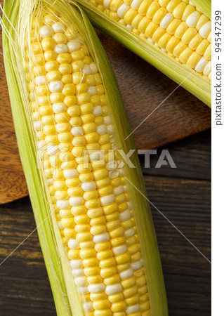 Corn Corn 94547299