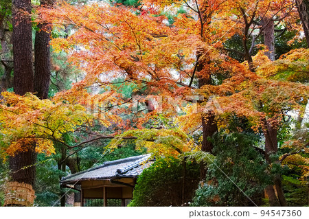 秋葉季節公園 秋葉季節公園 94547360