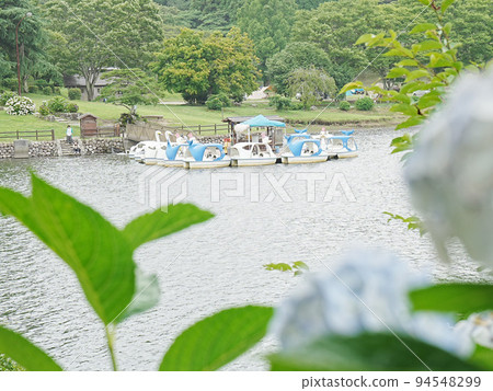 Swan boat floating on the lake at the lakeside campsite 94548299