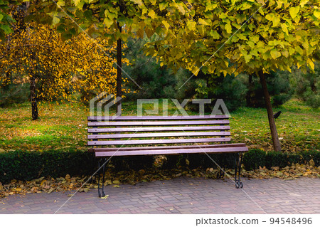 Wooden bench in the city park in autumn Wooden bench in the city park in autumn 94548496