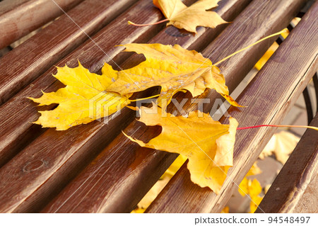 Wooden bench with dry leaves in the city park in autumn Wooden bench with dry leaves in the city park in autumn 94548497