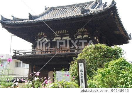 般若寺國寶羅紋門和波斯菊花 94548643