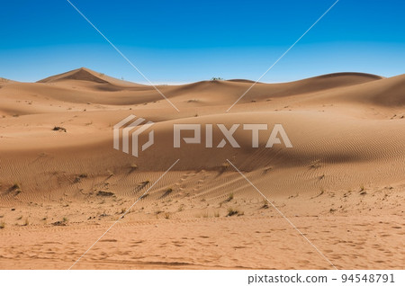 Sahara desert dunes and clear blue sky 94548791