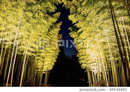 Beautiful bamboo forest Beautiful bamboo forest 94548883