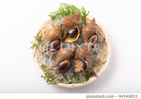 Crab shell Crab shell 94549052