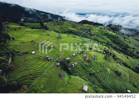 High angle view Green Rice field on terraced in Chiangmai High angle view Green Rice field on terraced in Chiangmai 94549452