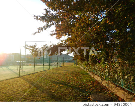 Autumn, tennis court in the morning Autumn, tennis court in the morning 94550004