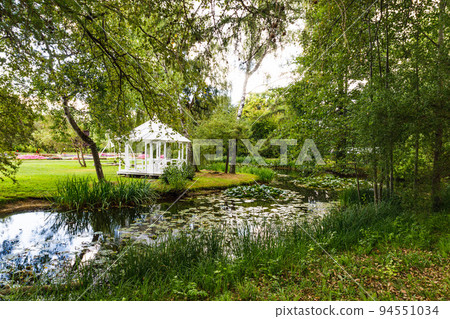 Scenic view of a city park with green trees and a pond Scenic view of a city park with green trees and a pond 94551034