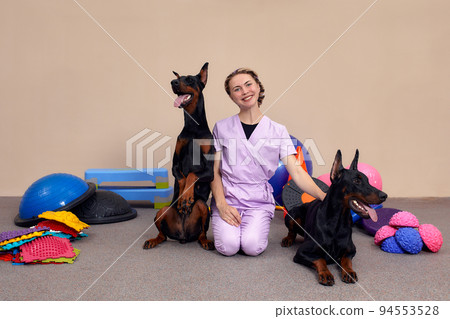 Dog is engaged fitness on massage and physiotherapy carpet. Training device for rehabilitation exercising in the Veterinary clinic 94553528