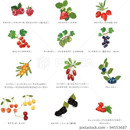桑椹、桑椹、佐藤、櫻桃、櫻桃、草莓、草莓、機架醋栗、黑醋栗、黑醋栗 94553687