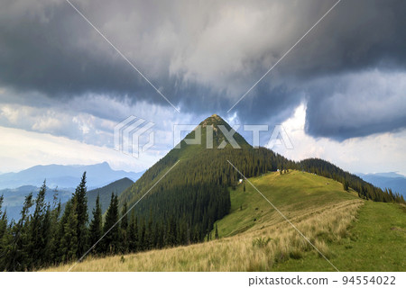 Panoramic view of green grassy valley, pine trees and rural small peasant huts at foot of distant woody mountain under dark blue cloudy sky before thunderstorm. Beauty of nature, tourism, traveling. 94554022