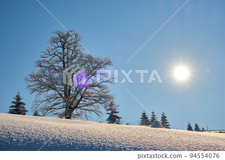Moody winter landscape with dark bare tree on covered with fresh fallen snow field in wintry mountains on cold gloomy day. Moody winter landscape with dark bare tree on covered with fresh fallen snow field in wintry mountains on cold gloomy day. 94554076