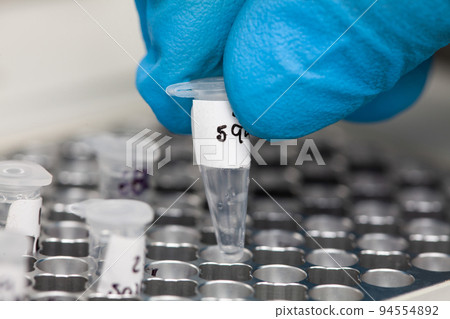 Closeup of a scientist hand while working at the laboratory with a thermal cycler. Polymerase chain reaction technique. PCR technique Closeup of a scientist hand while working at the laboratory with a thermal cycler. Polymerase chain reaction technique. PCR technique 94554892