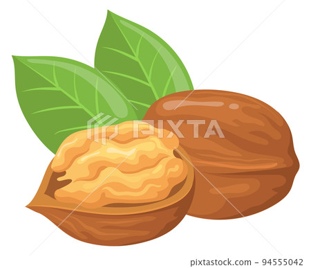 Walnut icon. Whole and open nuts. Healthy food Walnut icon. Whole and open nuts. Healthy food 94555042