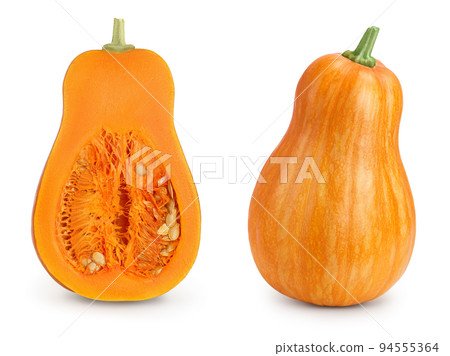 butternut squash half isolated on white background with full depth of field butternut squash half isolated on white background with full depth of field 94555364