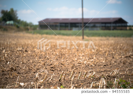 Worked and parched arable land due to a prolonged dry season in summer Worked and parched arable land due to a prolonged dry season in summer 94555585