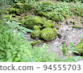 Oyama Kitanizawa mountain stream 94555703