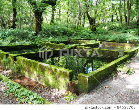 Former trout farm Yosonjo Former trout farm Yosonjo 94555705