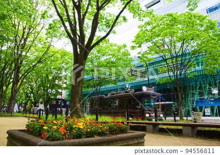 Zelkova promenade along Jozenji Street in Sendai (Sendai City, Miyagi Prefecture) Zelkova promenade along Jozenji Street in Sendai (Sendai City, Miyagi Prefecture) 94556811