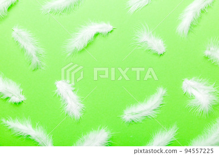 Frame of brightly colored dyed bird feathers on Colored background, top view Frame of brightly colored dyed bird feathers on Colored background, top view 94557225