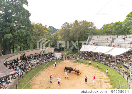 Yamakoshi Bullring Yamakoshi Bullfighting (Yamakoshi area, Nagaoka City) 94558654