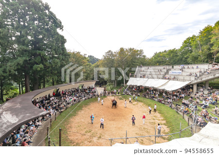 Yamakoshi Bullring Yamakoshi Bullfighting (Yamakoshi area, Nagaoka City) Yamakoshi Bullring Yamakoshi Bullfighting (Yamakoshi area, Nagaoka City) 94558655