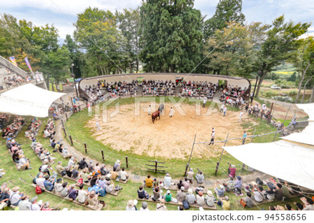 Yamakoshi Bullring Yamakoshi Bullfighting (Yamakoshi area, Nagaoka City) 94558656