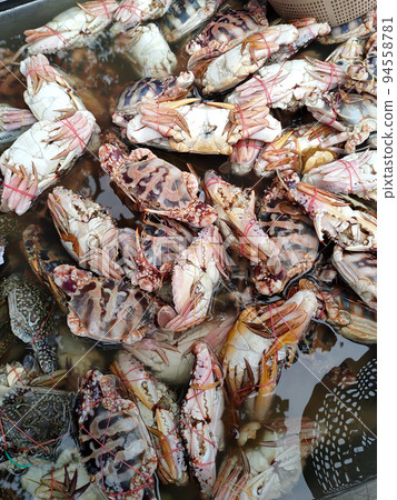 Fresh fish and other seafood are on sale in wet markets. It is placed in a flea for the customer to choose. Placed the price tag for convenience. 94558781