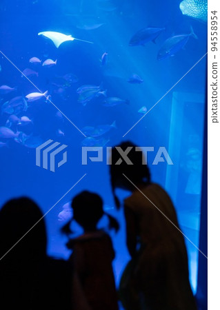 探望能登島水族館 94558954