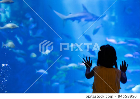 能登島水族館女孩調查 94558956