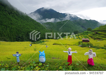 收穫季節的“丸山千枚田”(三重縣熊野市) 收穫季節的“丸山千枚田”(三重縣熊野市) 94559787