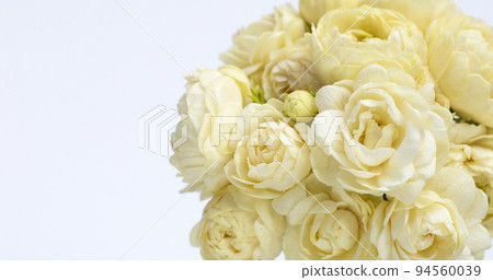 Jasmine flower on white background. Jasmine flower on white background. 94560039