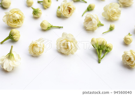 Jasmine flower on white background. 94560040