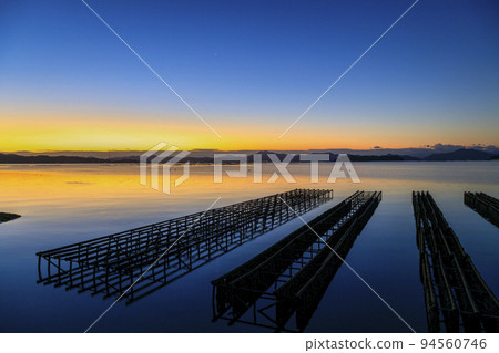 Winter in Setouchi Sunrise illuminates the sea lined with oyster shelves 94560746