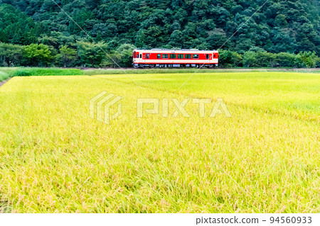 岐阜縣長良川鐵道～穿越稻穀的鄉間的電車～ 94560933