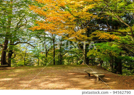 飛騨高山，岐阜縣城山公園在秋天 94562790