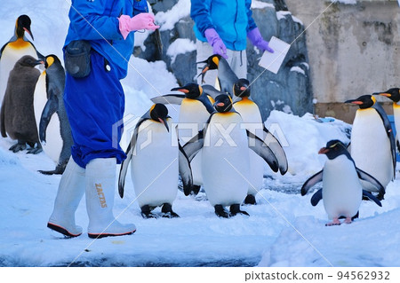 Hokkaido Asahikawa City Asahiyama Zoo Penguin Museum 94562932