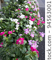 Flowers 94563001