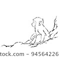 一隻白色的小猴子坐在岩石上 94564226