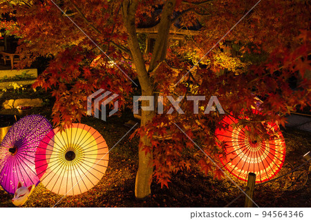 京都東山的秋天,松林寺,秋葉燈火通明,日本雨傘 京都東山的秋天,松林寺,秋葉燈火通明,日本雨傘 94564346