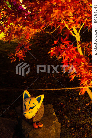 Autumn in Higashiyama, Kyoto Shorinji Temple Autumn Leaves Illuminated 94564349