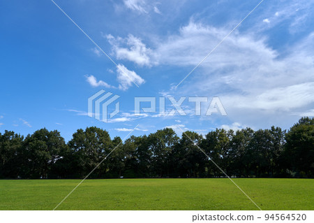 草地、森林和夏天的天空 草地、森林和夏天的天空 94564520