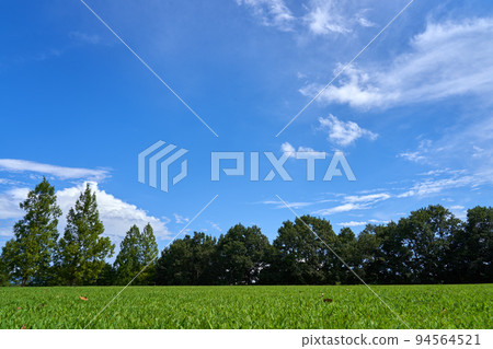 Grass field, forest and summer sky 94564521