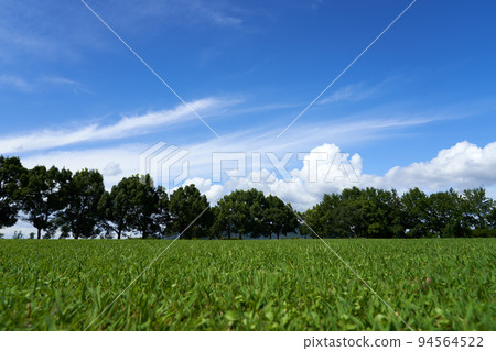 Grass field, forest and summer sky Grass field, forest and summer sky 94564522