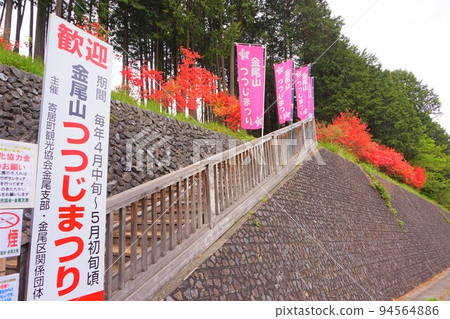 金尾山杜鵑花祭山辻 金尾山杜鵑花祭山辻 94564886