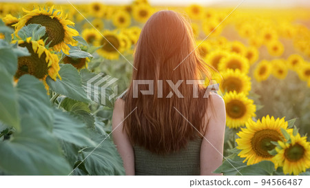 Woman walks through sunflowers enjoying vivid moments 94566487