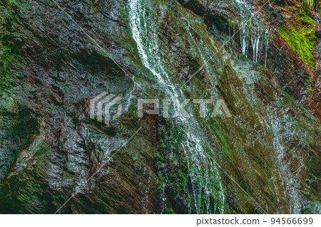 和歌山產瀧有田川町 94566699