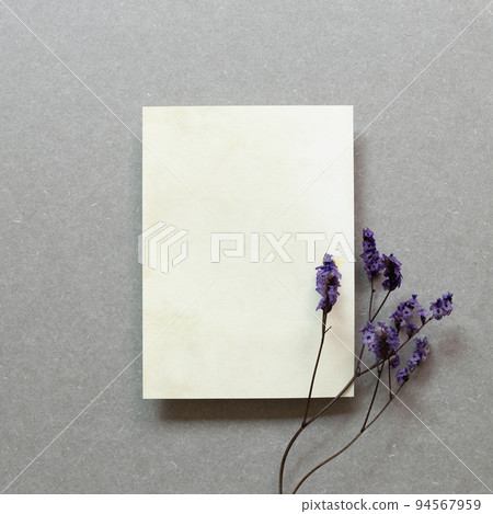Blank memo pad and purple dry flowers on gray background. top view, copy space Blank memo pad and purple dry flowers on gray background. top view, copy space 94567959