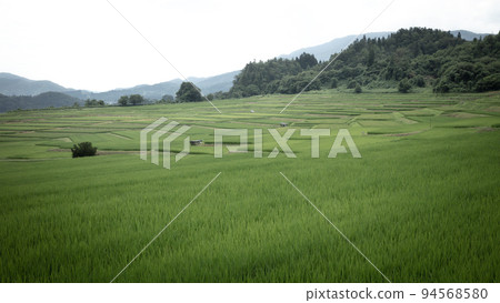 Sawaradaira Terraced Rice Fields, Yamagata Prefecture 94568580