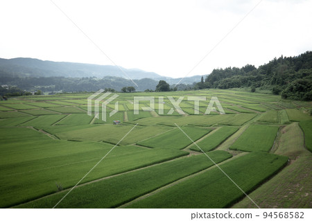 山形縣澤平梯田 山形縣澤平梯田 94568582